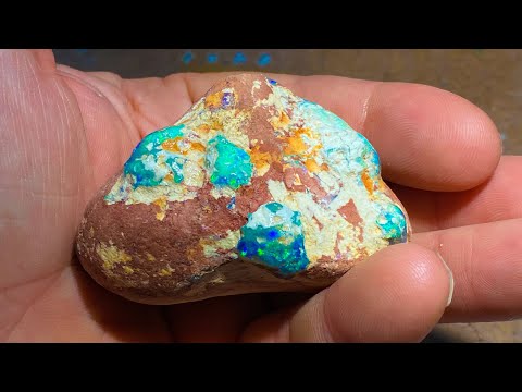 Uncut gem opal cluster in sandstone. Let's see what’s inside!