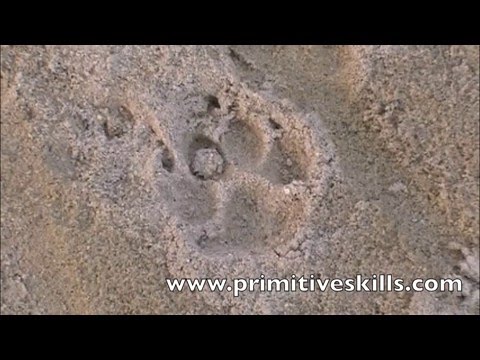 Tracking- Aging Techniques