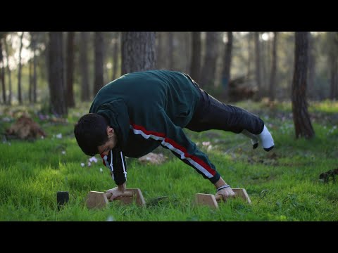 Calisthenics Planche Progression - Zero to Full | 1.90m Tall