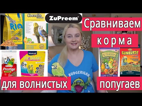 BUDGIE FOOD REVIEW | RIO Prestige, Padovan, Fiori, Vitacraft