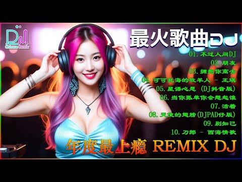 Remix 2026  舞女  曾经心痛  七情六欲  我要找到你  你的答案  寂寞沙洲冷  往事只能回味  还有我 dj抖音版2026