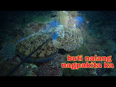 ep634 buti nalang nagpakita ang malaking kulambutan nagkaroon ng pag asa 