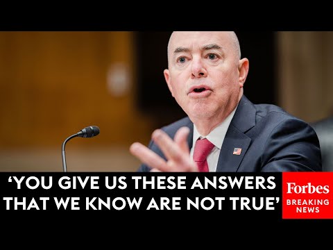 Mike Johnson Relentlessly Grills Alejandro Mayorkas On The Disinformation Board