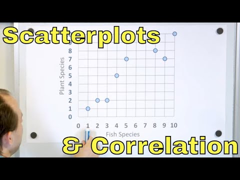 Draw Scatterplots & Determine Correlation (Positive & Negative Correlation of Data) - [8-9-1]