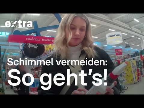 Wie entsteht Schimmel und wie wird man ihn wieder los  | EXTRA - Das Magazin