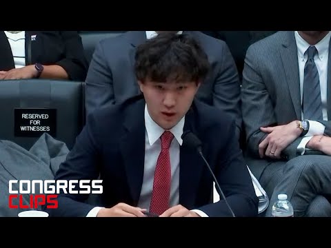 Everything Meta's New AI Chief Alexandr Wang Said to Congress in April (Top Moments)