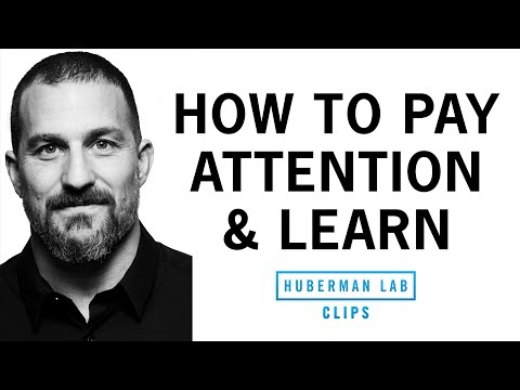 How to Pay Attention & Learn Quickly | Dr. Andrew Huberman