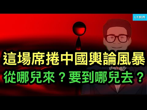 這場席捲中國的輿論風暴從哪兒來？要到哪兒去？判斷是否被中共收買的“絕招”靈不靈？鄭麗文向習主席發出“雙規”邀約。