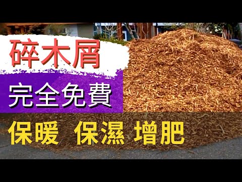 How to get free wood chips如何獲取免費碎木屑直接送到家門口【碎木屑是什麼】碎木屑的優缺點和使用方法