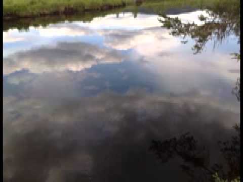 Adyashanti - Resisting the heartbreak?