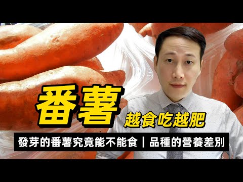 番薯，越食吃越肥？血糖越來越高？發芽番薯點辦？