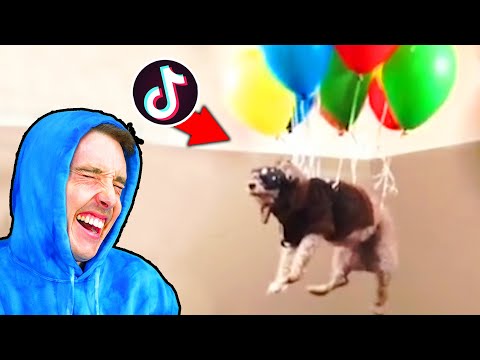 TIKTOKS made in quarantine