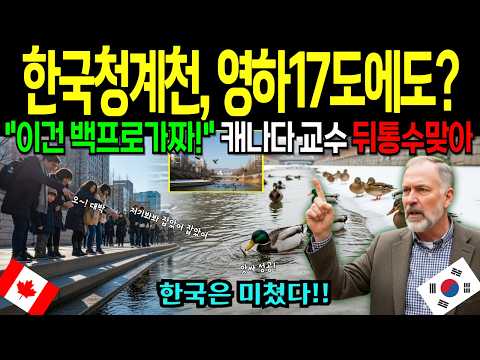 "This is 100% fake!" The Canadian professor who once ridiculed Cheonggyecheon weeps at the sight ...