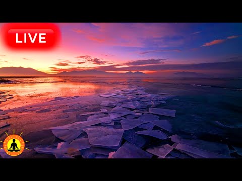 This livestream has ended. We will release a new version of this livestream soon. See link below.