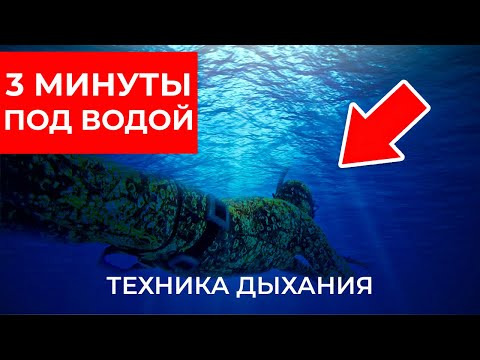 Как увеличить ЗАДЕРЖКУ ДЫХАНИЯ под водой? Выполняй эти упражнения не выходя из дома!