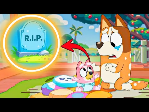 Bluey Characters Who Disappeared… Where Did They Go?