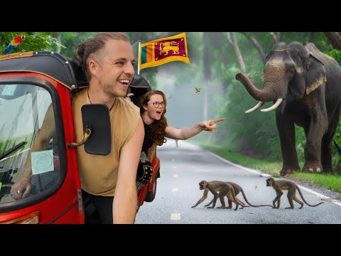 We Did a FREE DIY Safari in Sri Lanka and THIS Happened!