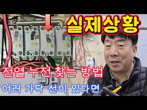 [실무특강-5] 여러가닥 들어간 전열 회로 누전 찾는 방법 #시설관리 #전기실무 #전기누전