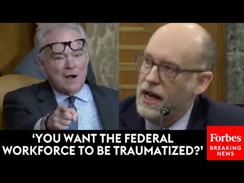 'You Don't Want Them Traumatized Do You?': Tim Kaine Brutally Confronts Vought About Past Statements