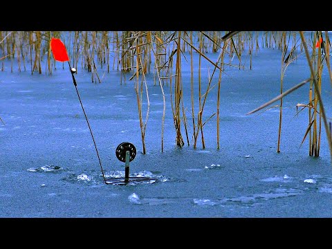 УРА! ПЕРВЫЙ ЛЁД 2021-2022! ЛОВЛЯ ЩУКИ НА ЖЕРЛИЦЫ по опасному перволедью.