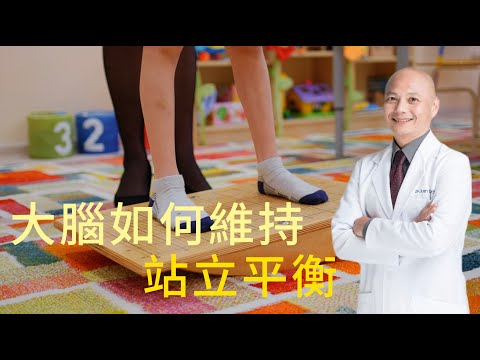 大腦如何維持平衡｜有效的復健要包含視覺 前庭覺 本體覺⁉️如何觀察平衡退化程度及原因