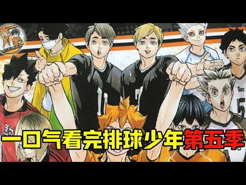 一口气看完排球少年第五季，史上最强运动番完美结局，日向和影山登上奥运赛场