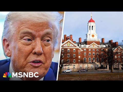 Trump vs. Education: Why President's attacks on universities are driven by 'juvenile envy'