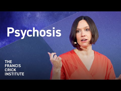 A Crash Course in Psychosis – with Katharina Schmack