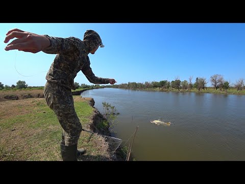 ГЛАВНОЕ НЕ УПАСТЬ. В ЛЮТУЮ МОШКУ РЫБУ ТАЩУ. Рыбалка на сазана, жереха. Сазан на закидушки.