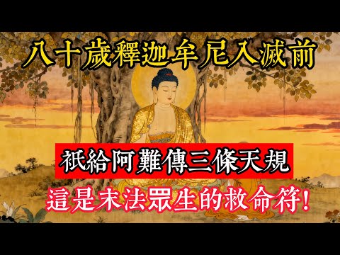 八十歲釋迦牟尼入滅前，只給阿難傳三條天規：這是末法眾生的救命符！#立地成佛#念佛修行#因果正見#修行障礙化解#生死因果#佛学#佛教