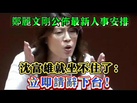 鄭麗文剛剛公佈最新人事安排，沈富雄就坐不住了：立即請辭下台！
