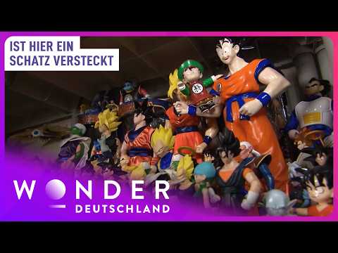 Zauberhafte Sammlerstücke oder ein Haufen Schrott? | Extremsammler