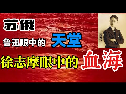 徐志摩的另外一面，洞穿苏俄真面目“他们要先实现那血海”/为苏俄大饥荒辩护的鲁迅与被蒙蔽的胡适/“以共和始，而以共产终”王国维的精准预言/王国维自杀的原因：殉清还是殉文化