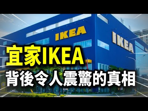 宜家IKEA驚天秘密曝光！這些事你從沒聽過！#ikea #經濟 #企業 #商業#品牌故事#熱門 #熱點