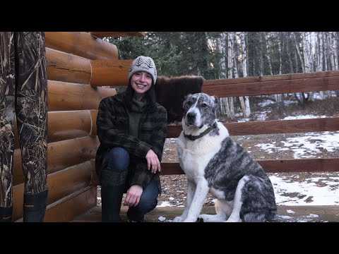 24 Hours Hunting, Fishing & Trapping in Alaska's Copper River Basin