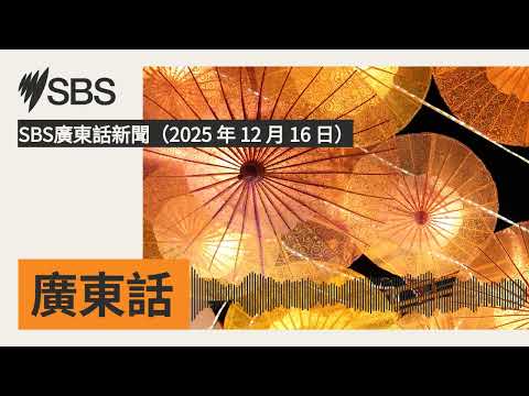 SBS廣東話新聞（2025 年 12 月 16 日） | SBS Cantonese - SBS廣東話節目