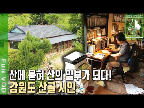 강원도 탄광촌에서 산골짜기까지~ 산골 시인이 세상 밖으로 표현하고 싶은 것은? [자연의 철학자들 KBS 20220701 방송]