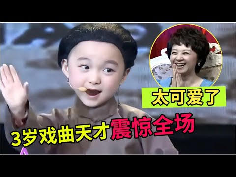 萌翻全场!三岁戏曲天才太可爱,谁料一张口震惊全场,专家惊呼太不可思议了!