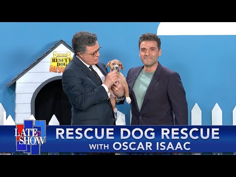 Rescue Dog Rescue with Oscar Isaac