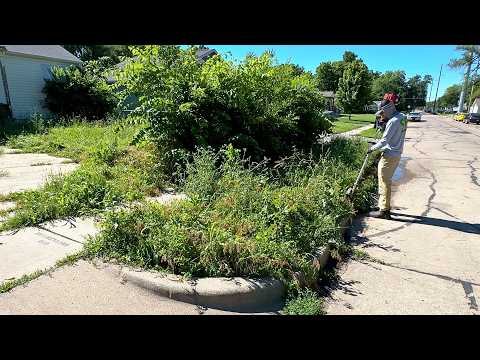 Home was EMPTIED after the woman died and the lawn grew WILD