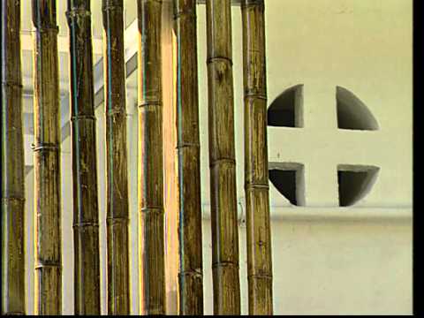 獻身生活年修會介紹系列-- 熙篤會