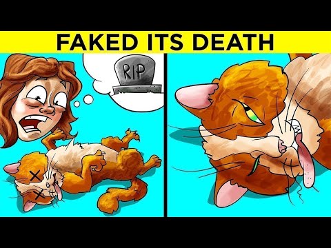 Times EVIL Animals Played With Humans