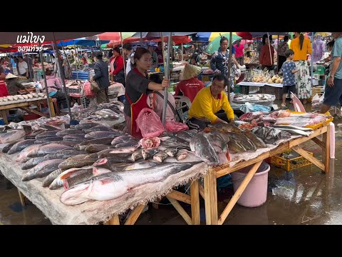 ตลาดเวียงจันทน์ สปป.ลาว ปลาน้ำโขงหลายคัก Vientiane morning Market , Laos 2025
