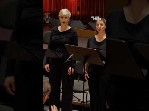 Wenn Chormusik ganz leise trifft: Schuberts Coronach 🕯️🎶