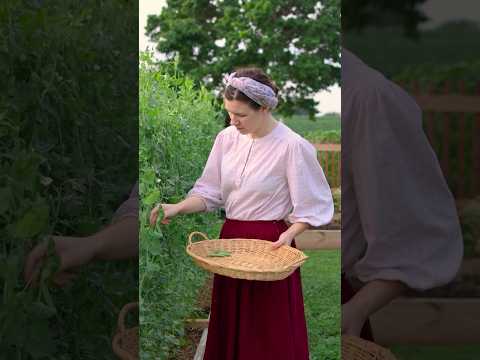 Help me film the farm stand with fresh vegetables 🌽 🍅🌻✨ #asmr #countrylife #slowliving