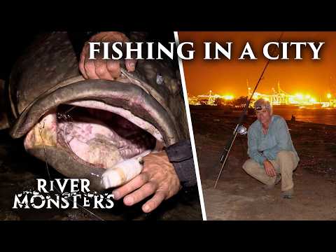 Meet The Deadly River Monsters Appearing NEAR YOUR HOUSE