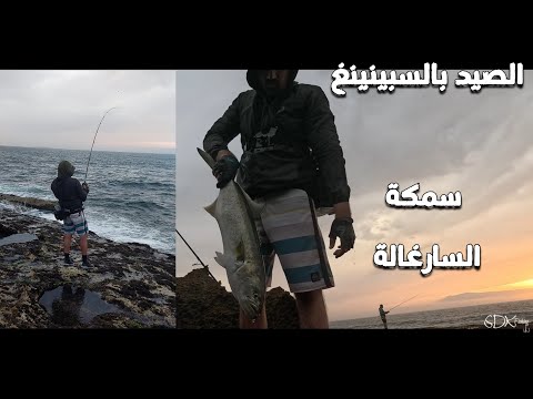 techniques de peche spinning maroc tasergal #sdkfishing #الصيد  #fishing #leurre #maroc