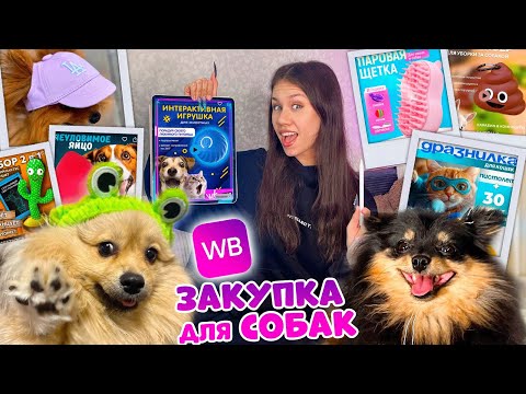 Покупаю ТОВАРЫ на WB 🛒для МОИХ СОБАК с ПОДПИСЧИКАМИ 😎