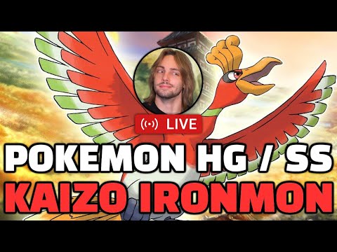 SOLO NEW ENHANCED BALANCERS WHAT