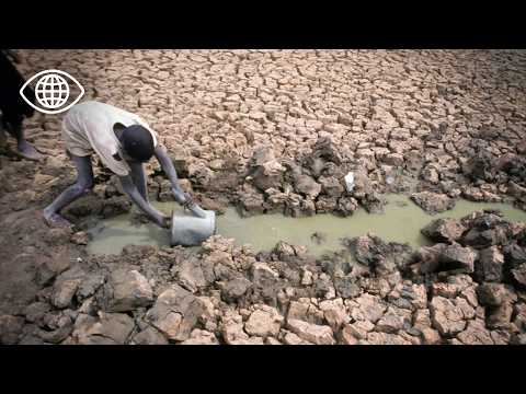 What’s Really Happening to Lake Chad? The Crisis the World Ignores - Environmental Documentary - AMP